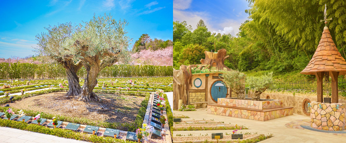 千年オリーブの森