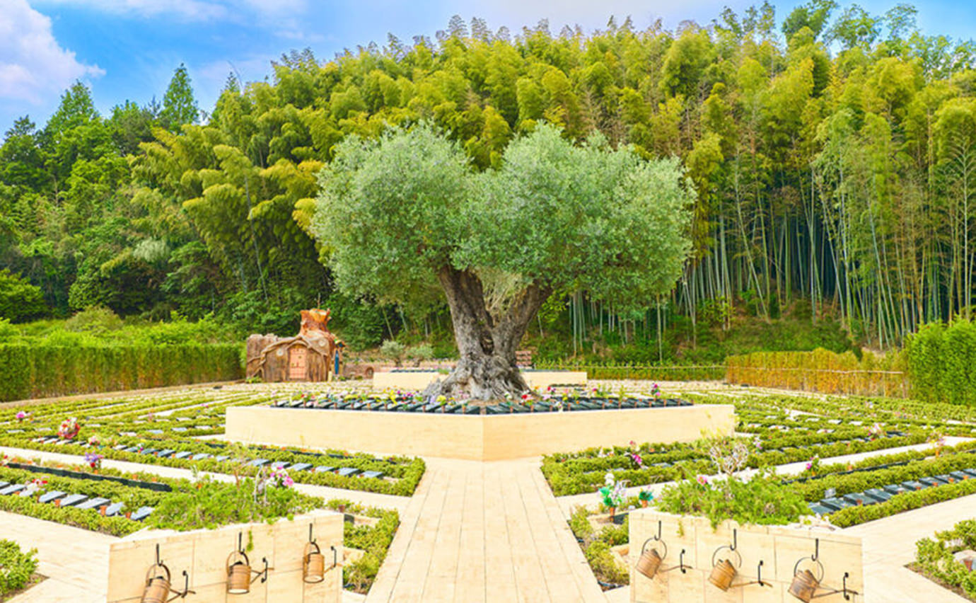 安定した成長市場で、新しい価値を創造